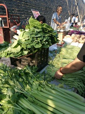 Cooking class  at Sally's Dumplings - JM Kitchen in Xian