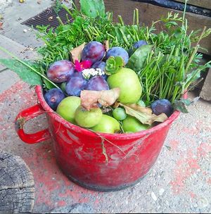 From the garden, mid-summer :) at The Vegan Anarchist Communal Kitchen in Esztergom