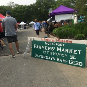 Northport Farmers Market  at Northport Farmers Market  in Northport