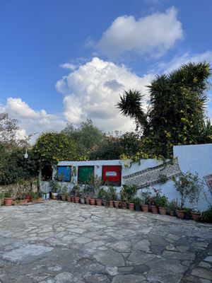 Garden  at Zümrüt Pide Salonu in Kusadasi