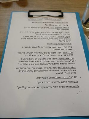 their vegan menu at Yamiz in Afula