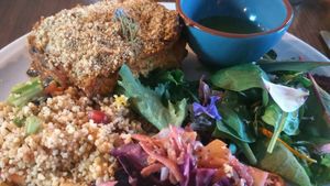 Vegan and gluten free lasagne at The Dragonfly in Dumfries