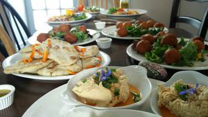 Buffet of falafel, houmous, flatbread and salads at The Dragonfly in Dumfries