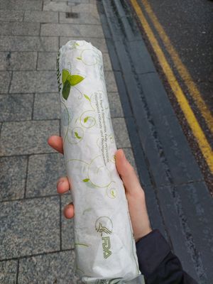 A wrap, fairly sizeable at The Crazy Vegetable in Dublin