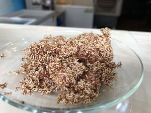 Veg. Gelatin at Saccharose Flavor in Taoyuan