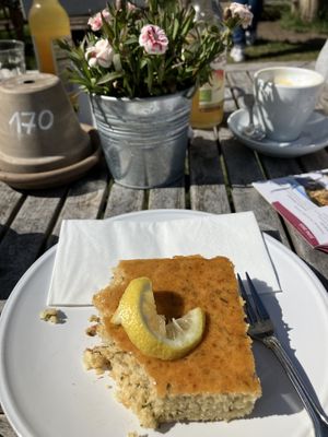   at Mühle in Ahrenshoop