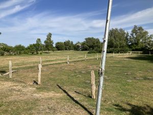   at Mühle in Ahrenshoop