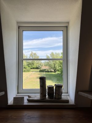   at Mühle in Ahrenshoop