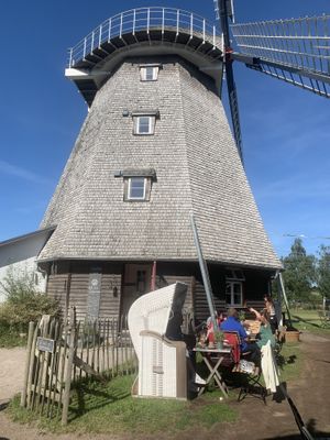 Vegane Oprionen stehen nicht auf der Karte – Schokokuchen jnd Zitronenkuchen sind vegan es gibt Hafer-und Sojamilch. Auch einen veganen Flammkuchen konnten wir bekommen.   at Mühle in Ahrenshoop