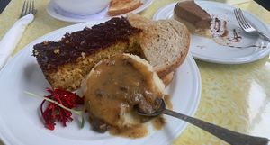 V. Meatloaf, mashed potatoes/gravy and (*) the best chocolate raw pie I’ve ever eaten    at Jyoti-Bihanga in San Diego