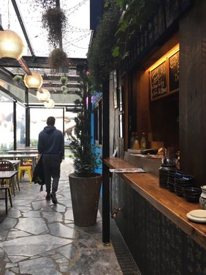 Bo’s Dumplings at Bo's Dumplings in Auckland