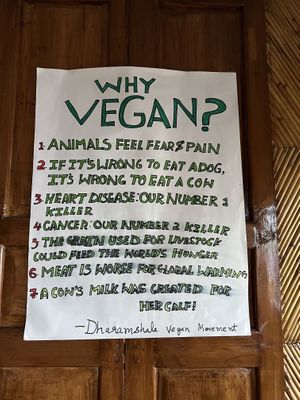 Vegan poster   at Crepes Pancake Hut in Dharamshala