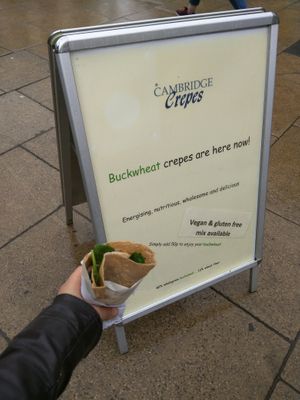 Spinach and Mushrooms on Vegan Buckwheat Crepe at Cambridge Crepes in Cambridge