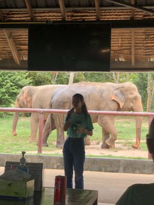   at Samui Elephant Sanctuary in Koh Samui