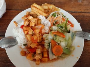 Mix of Tofu curry on rice, veg stir fry, chilli papaya salad & french fries. 😋 at Samui Elephant Sanctuary in Koh Samui