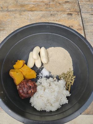 The food we prepared for the elephants at Samui Elephant Sanctuary in Koh Samui