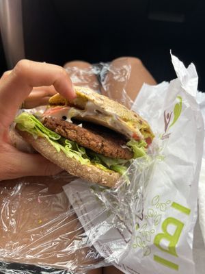   at BioHarmony in Belgrade