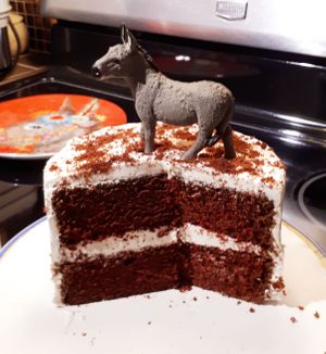 RED VELVET CAKE to die for 😍
The Kind Cafe surprised me with the decoration once I told them I was The Crazy Donkey Lady!

My non Vegan friends were so impressed and they couldn't believe it was Vegan 😁 at Kind Cafe in Vancouver