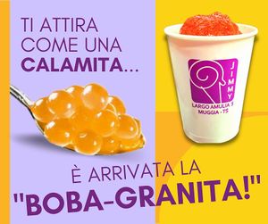 Naturale e vegana! at Gelateria Jimmy in Muggia