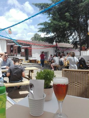 Good beer in a nice place at Avocado in Obidos