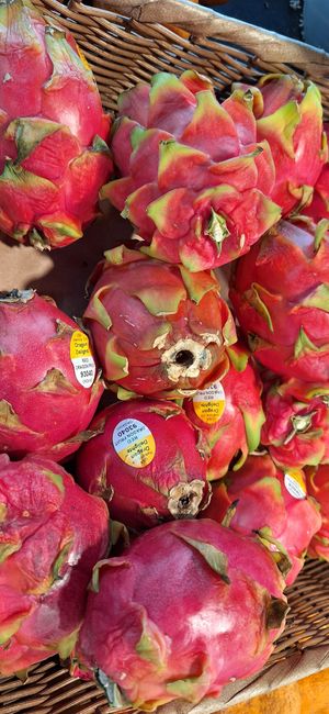  at Ocean Beach People's Organic Foods Co-op in San Diego