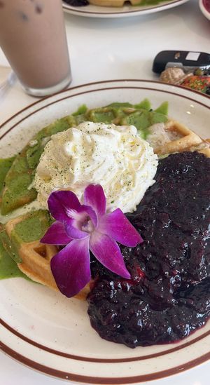 Kokomo waffle   at Project Coffee - Burns Court in Sarasota