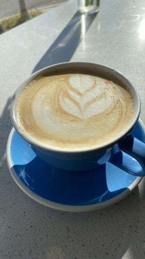 Pumpkin spice latte 🎃   at Project Coffee - Burns Court in Sarasota