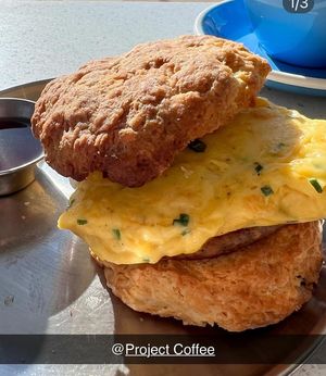   at Project Coffee - Burns Court in Sarasota