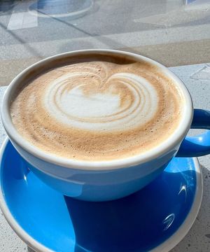   at Project Coffee - Burns Court in Sarasota