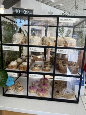 Pastry case, OMG!  at Project Coffee - Burns Court in Sarasota