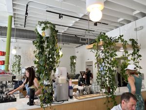 Order from the counter  at Project Coffee - Burns Court in Sarasota