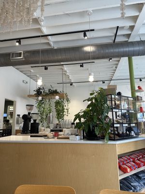 Cute:)  at Project Coffee - Burns Court in Sarasota