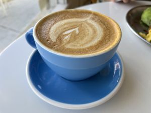 Latte  at Project Coffee - Burns Court in Sarasota