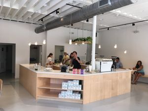 Interior at Project Coffee - Burns Court in Sarasota