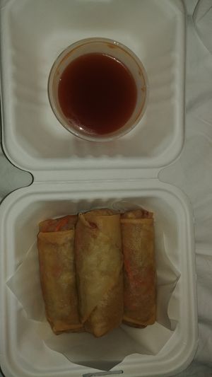 Spring rolls at Marco Polo Global Restaurant in Salem