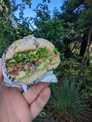 2000 and Juan at Beam Me Up Bagels in Dunedin