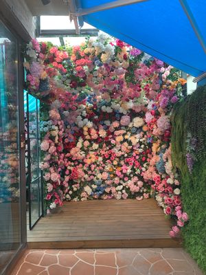 Floral photo opportunity, lighting is pretty nice and is well kept  at Lucky Tea in Seoul