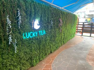 Photo wall at Lucky Tea in Seoul