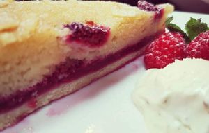 Raspberry and almond frangipane tart with vanilla ice cream at Kingfisher in East London