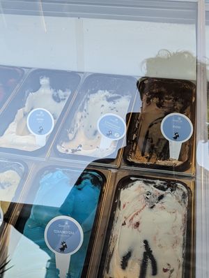 The clearly labeled vegan ice cream here was the vegan at Let's Vegan in Crete