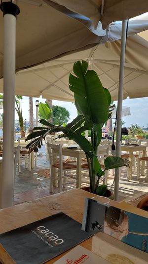 Outside sitting area. at Let's Vegan in Crete