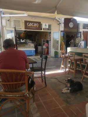  at Let's Vegan in Crete