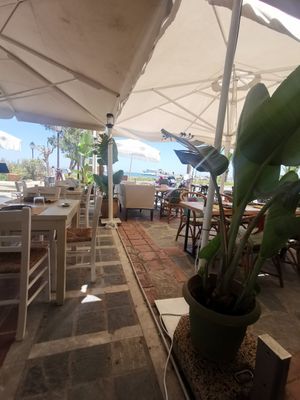  at Let's Vegan in Crete