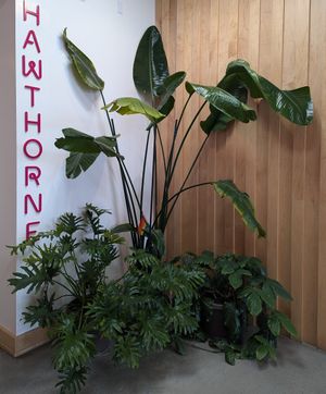 interior at Moberi - Hawthorne Blvd in Portland