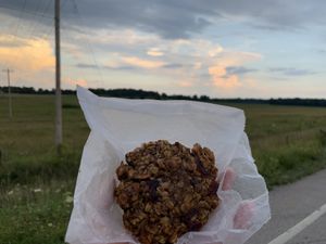 Vegan cookies on the open road! at Civilian Brewing Corps in Spencer