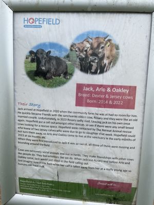 Jack’s story (board from one of the pens)  at Hopefield Animal Sanctuary - Max's Cafe in Brentwood