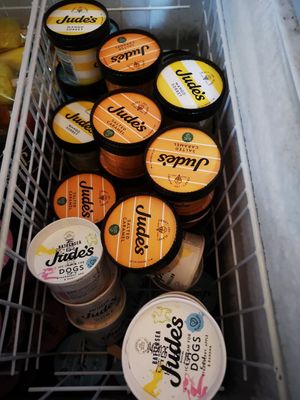 Even plant based ice cream for the doggos at Hopefield Animal Sanctuary - Max's Cafe in Brentwood