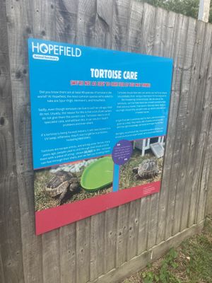   at Hopefield Animal Sanctuary - Max's Cafe in Brentwood