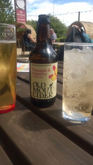 Vegan drinks at Swan & Cygnet in Wakefield