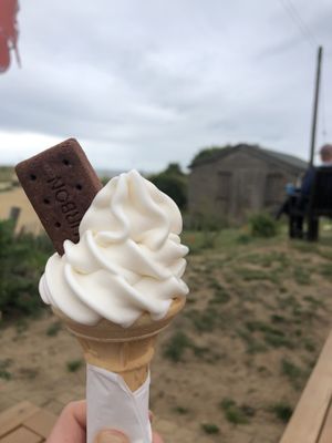 Vegan whippy ice cream, what a treat!  at Old Town Beach Cafe  in Hunstanton